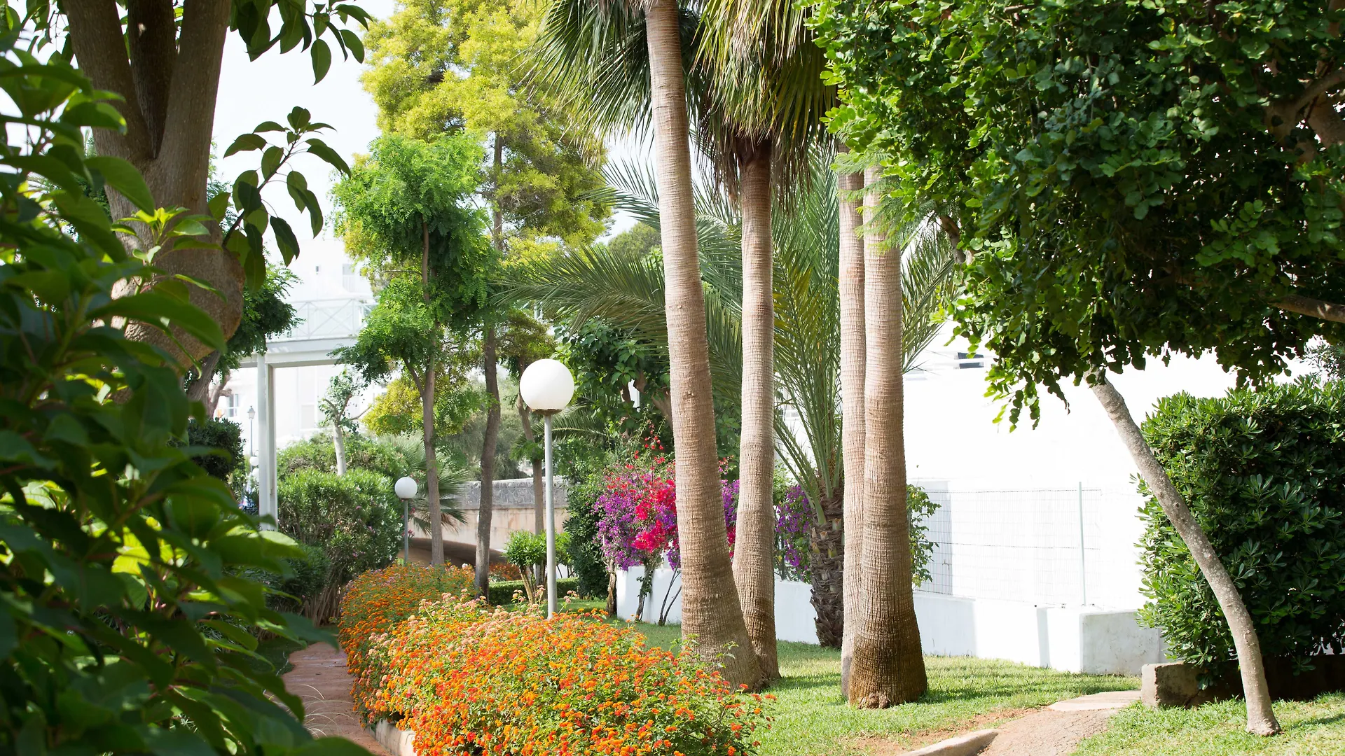 Gavimar Cala Gran Hotel And Apartments Cala D´Or